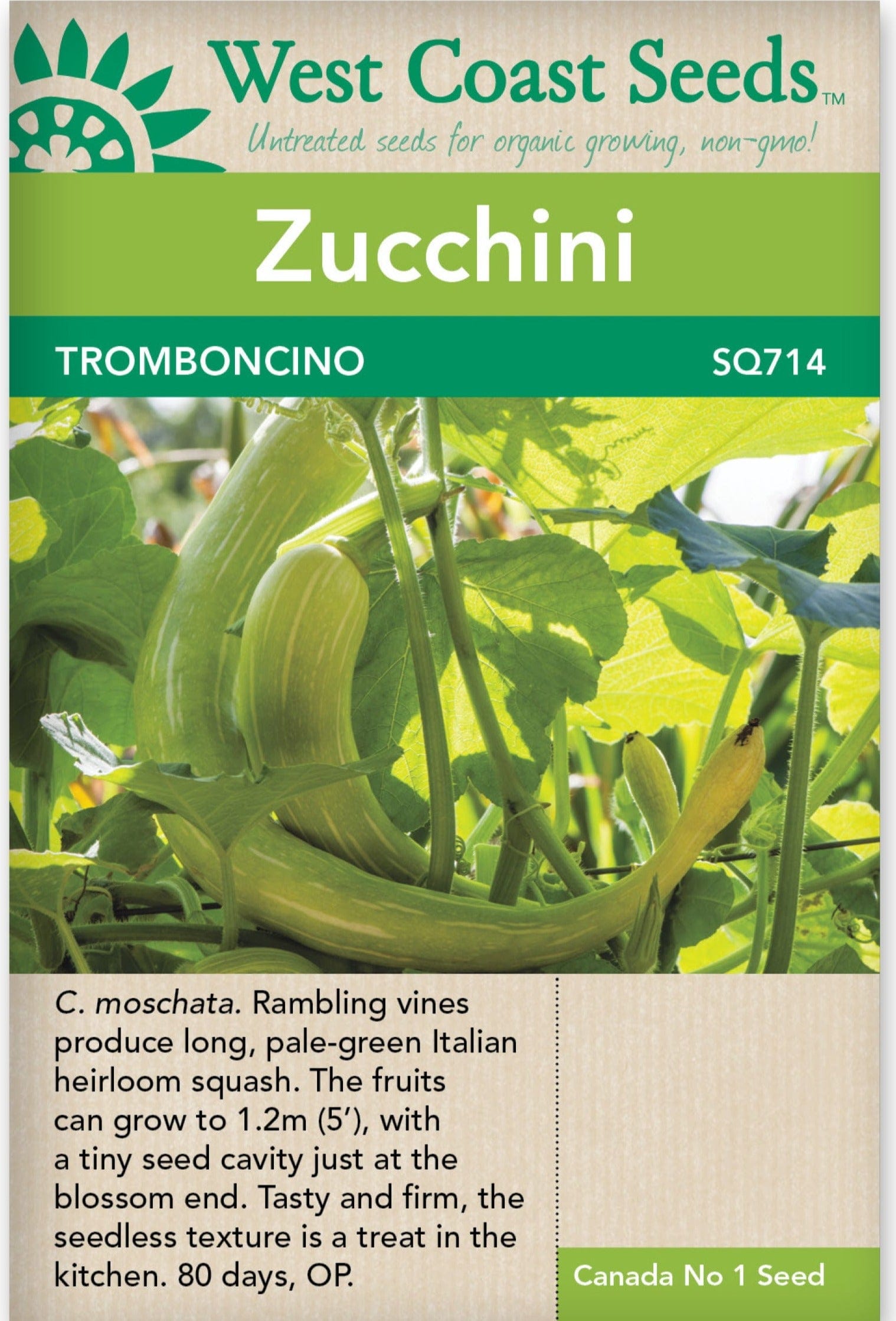 Squash Tromboncino - West Coast Seeds