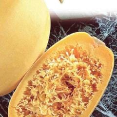 Squash Spaghetti Pasta - McKenzie Seeds