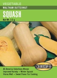 Squash Waltham Butternut - Cornucopia Seeds