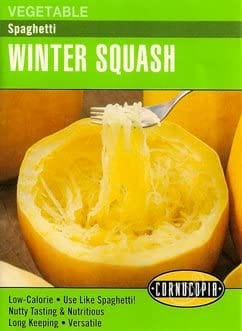 Squash Winter Spaghetti - Cornucopia Seeds