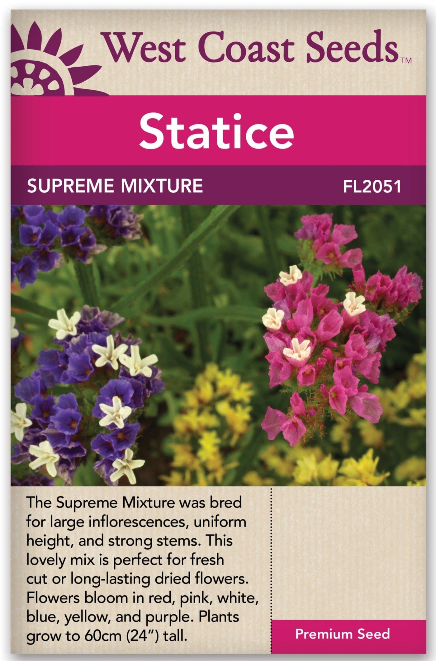 Statice Supreme Mixture - West Coast Seeds