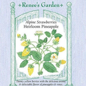 Strawberries Pineapple - Renee's Garden Seeds