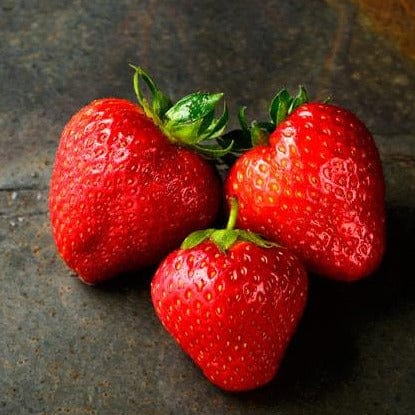 Strawberry - Eclair, June Bearing