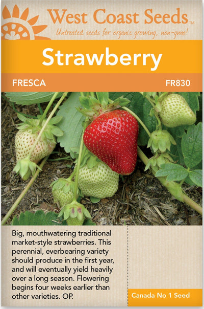 Strawberry Fresca - West Coast Seeds