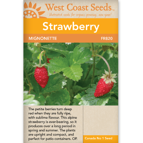 Strawberry Mignonette Alpine - West Coast Seeds