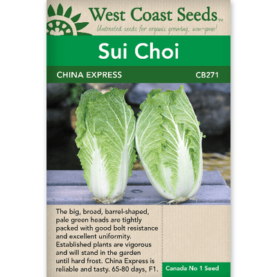 Sui Choi China Express - West Coast Seeds