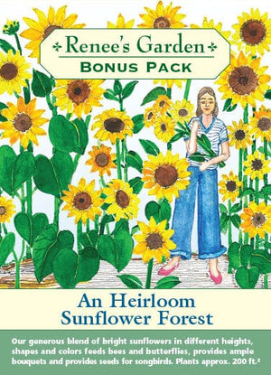 Sunflower An Heirloom Sunflower Forest Bonus - Renee's Garden