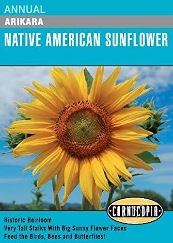 Sunflower Arikara - Cornucopia Seeds