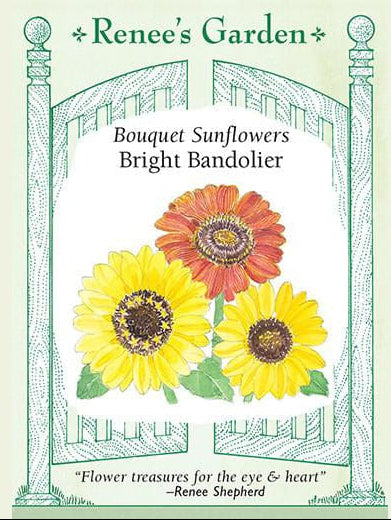 Sunflower Bright Bandolier - Renee's Garden
