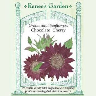 Sunflower Chocolate Cherry - Renee's Garden Seeds