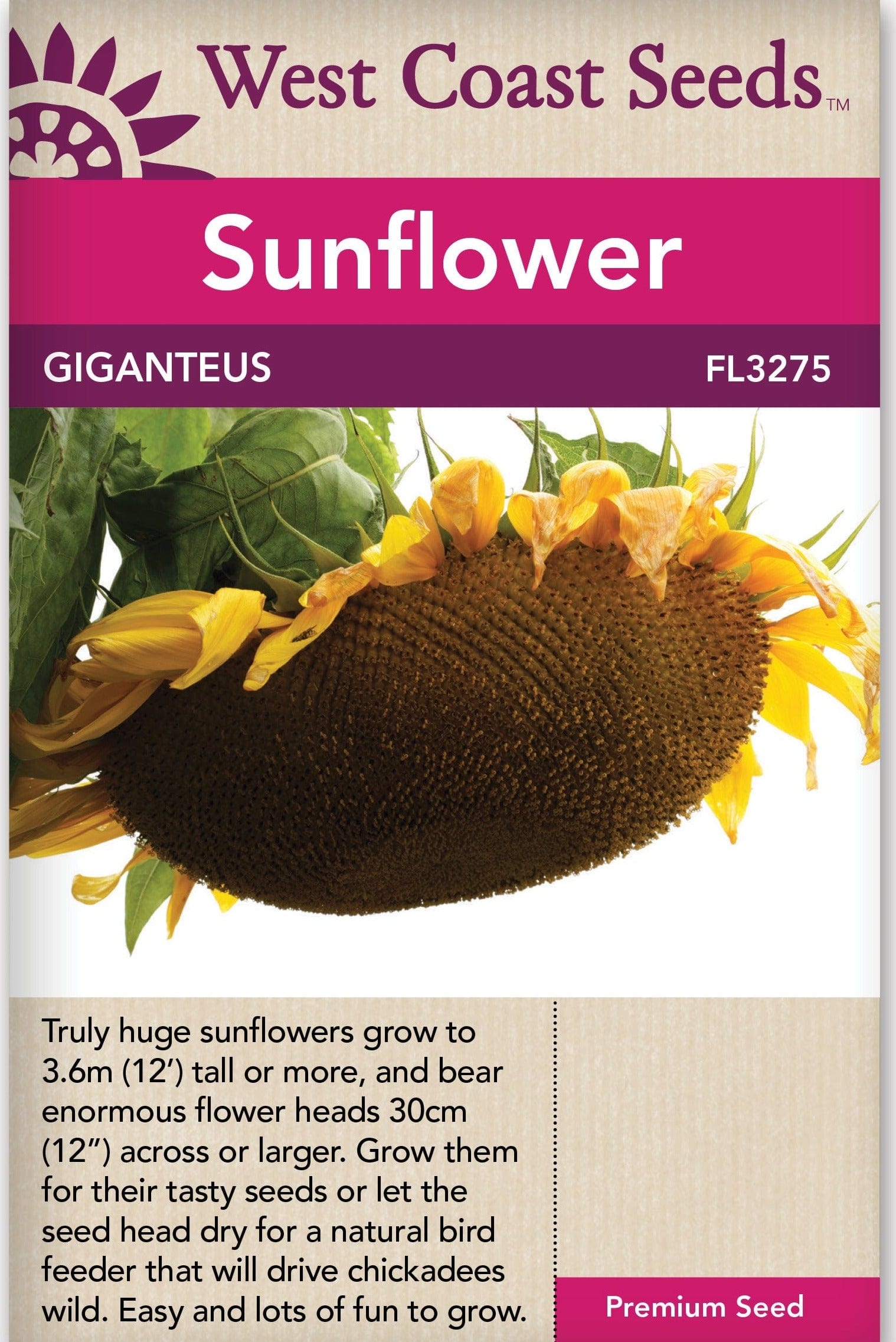 Sunflower Giganteus - West Coast Seeds