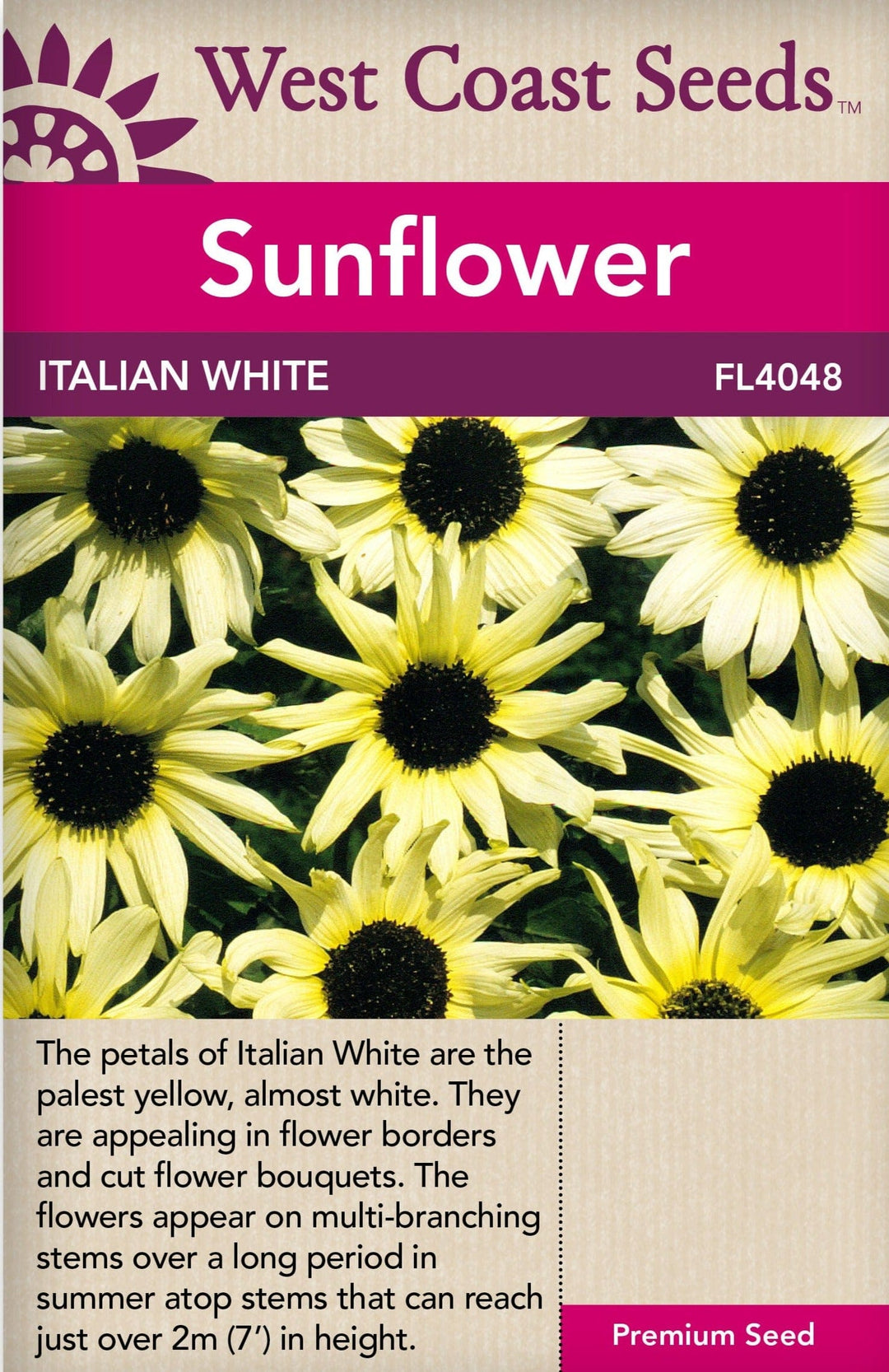 Sunflower Italian White - West Coast Seeds