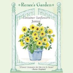 Sunflower Junior - Renee's Garden