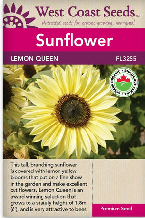 Sunflower Lemon Queen - West Coast Seeds