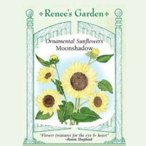 Sunflower Moonshadow - Renee's Garden Seeds