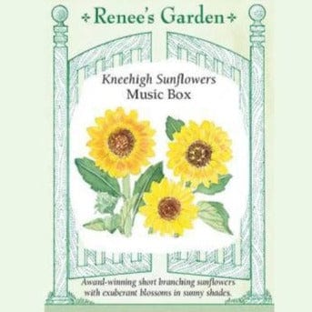 Sunflower Music Box - Renee's Garden Seeds
