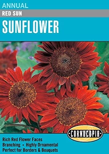 Sunflower Red Sun - Cornucopia Seeds – Wildwood Outdoor Living