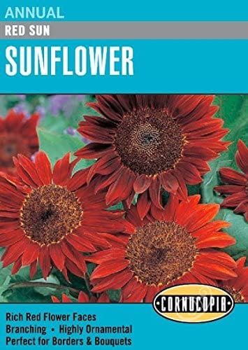 Sunflower Red Sun - Cornucopia Seeds