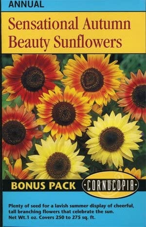 Sunflower Sensational Autumn Beauty Mix, BONUS PACK - Cornucopia Seeds