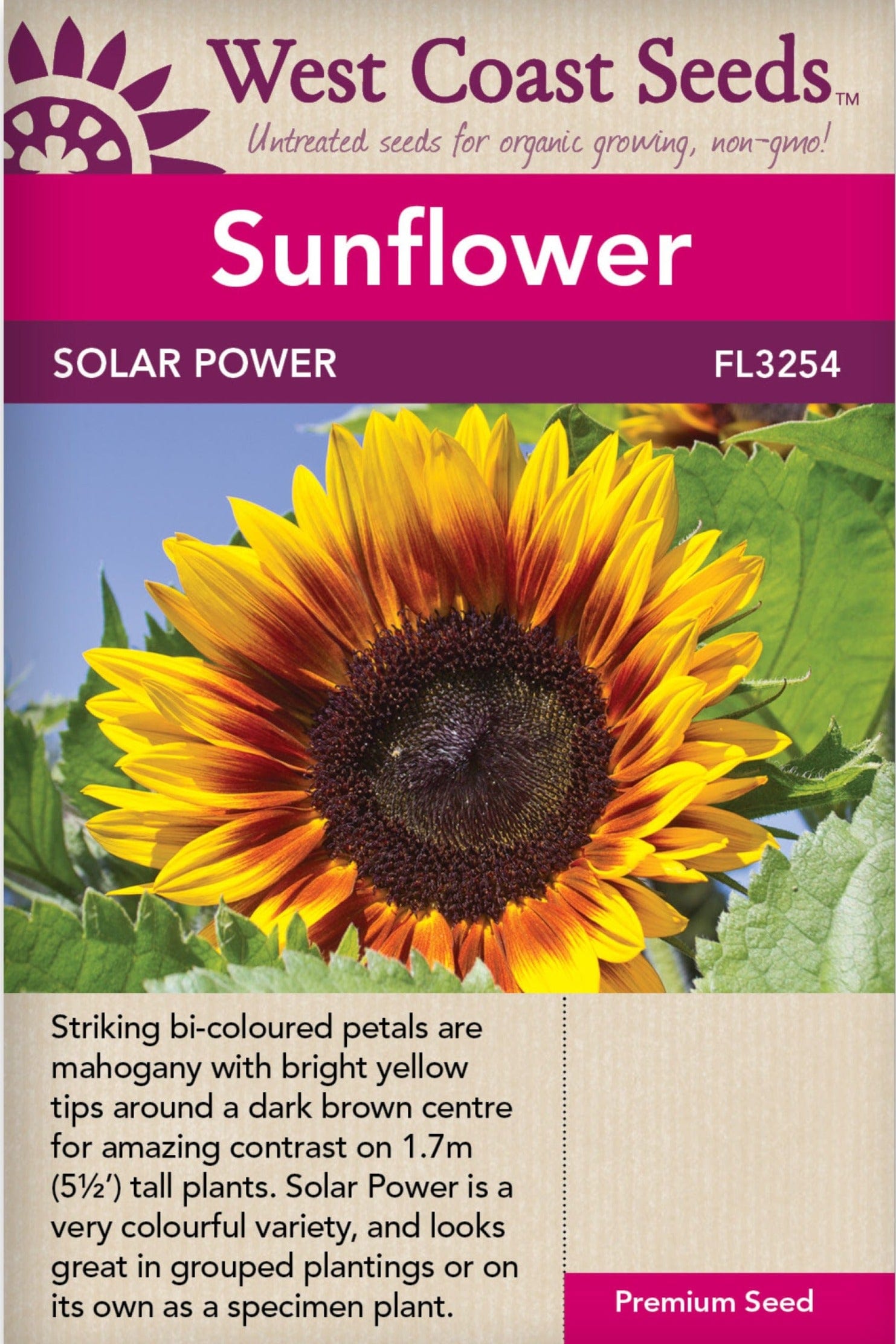 Sunflower Solar Power - West Coast Seeds