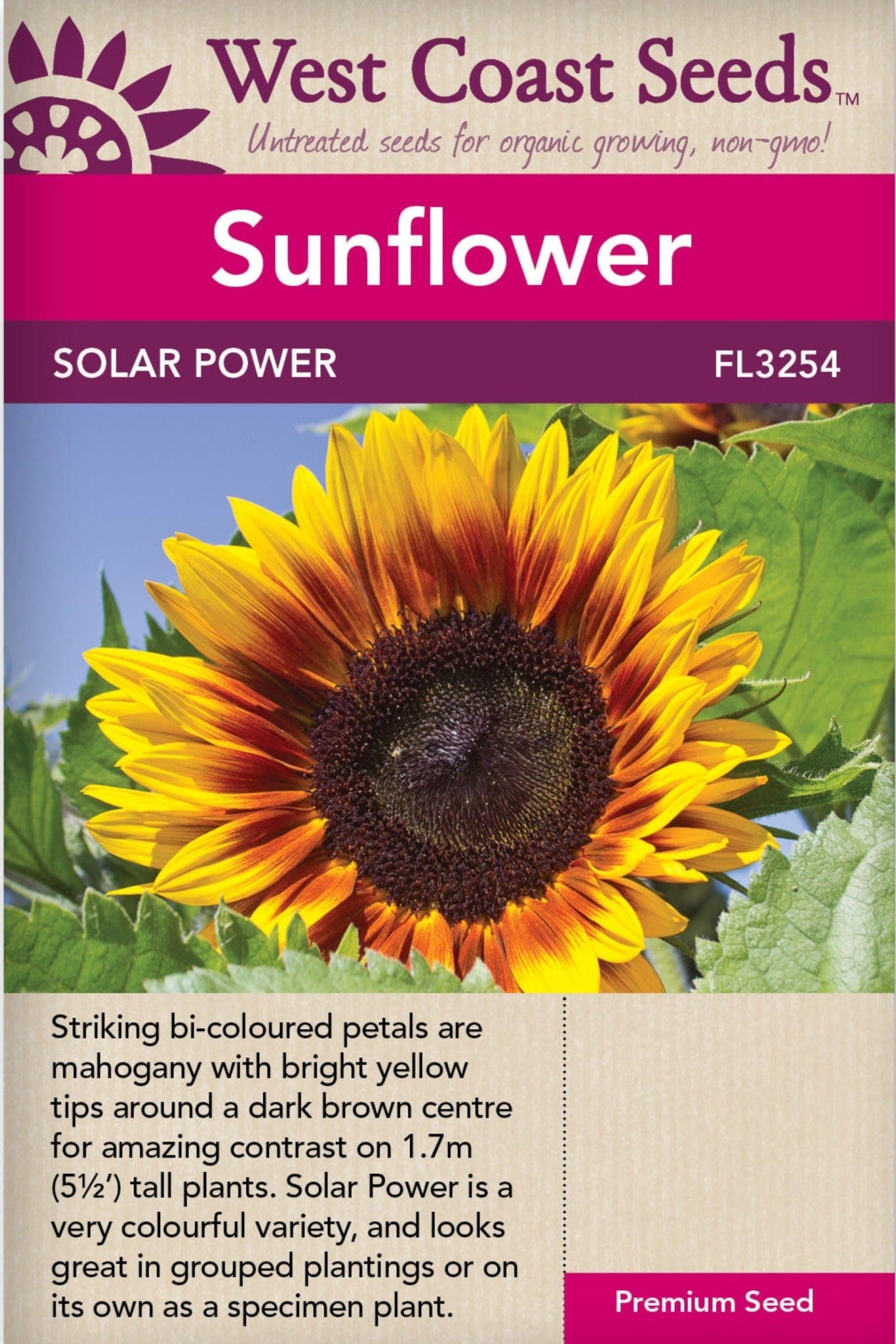 Sunflower Solar Power - West Coast Seeds
