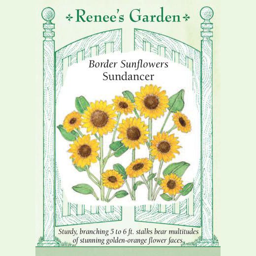 Sunflower Sundancer - Renee's Garden