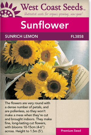 Sunflower Sunrich Lemon - West Coast Seeds
