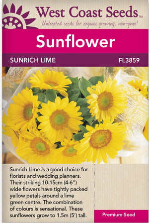 Sunflower Sunrich Lime - West Coast Seeds