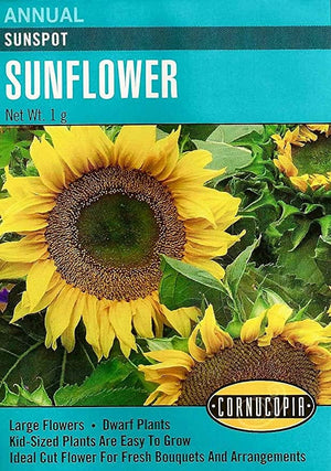Sunflower Sunspot - Cornucopia Seeds