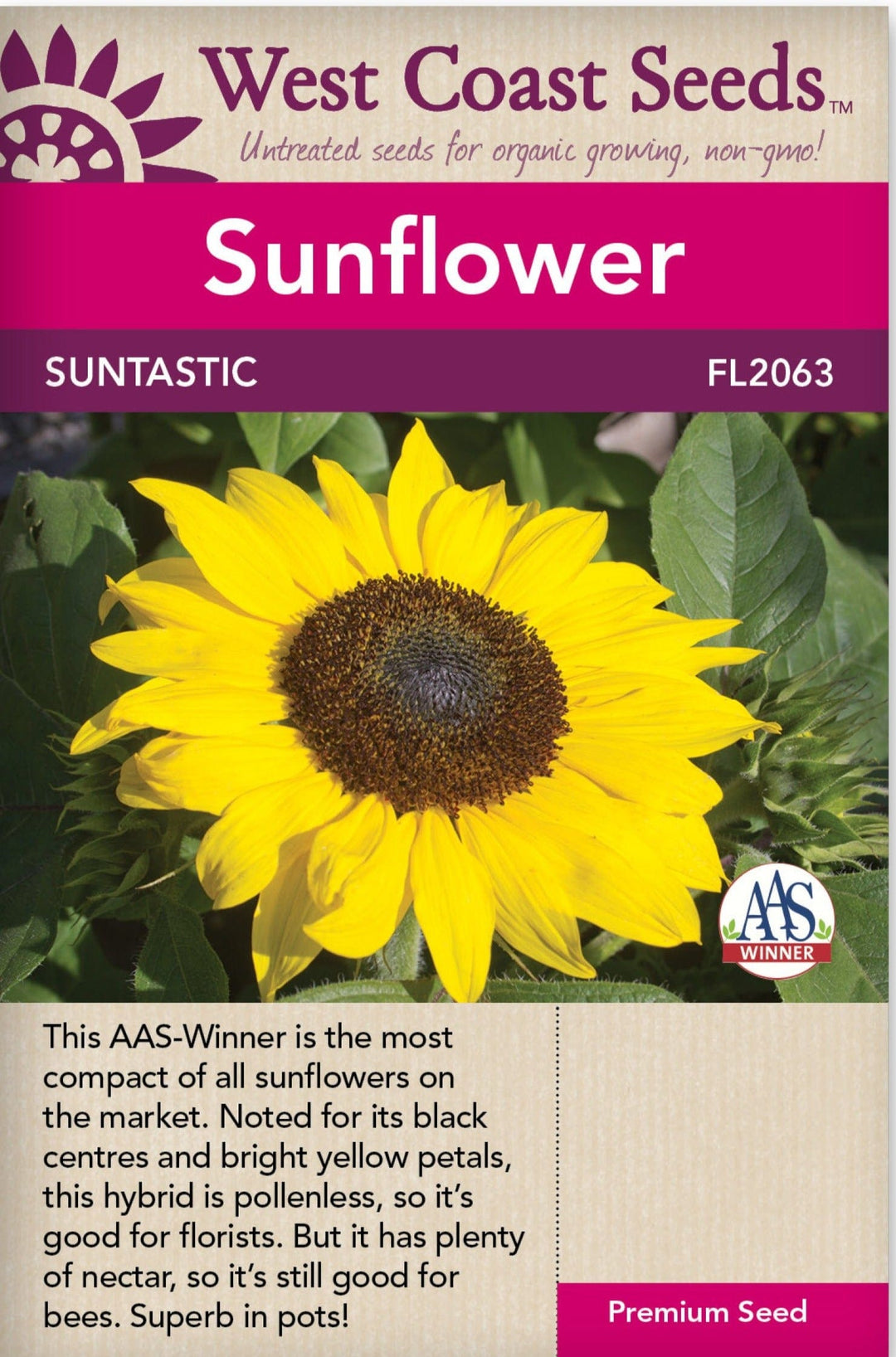 Sunflower Suntastic - West Coast Seeds