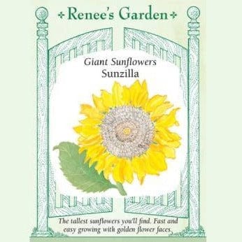 Sunflower Sunzilla - Renee's Garden Seeds