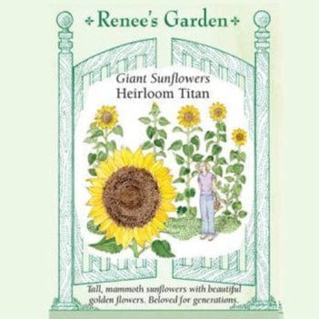 Sunflower Titan - Renee's Garden Seeds