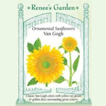 Sunflower Van Gogh - Renee's Garden Seeds