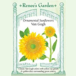 Sunflower Van Gogh - Renee's Garden Seeds
