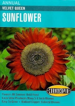 Sunflower Velvet Queen - Cornucopia Seeds