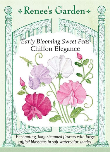 Sweet Pea Chiffon Elegance - Renee's Garden Seeds