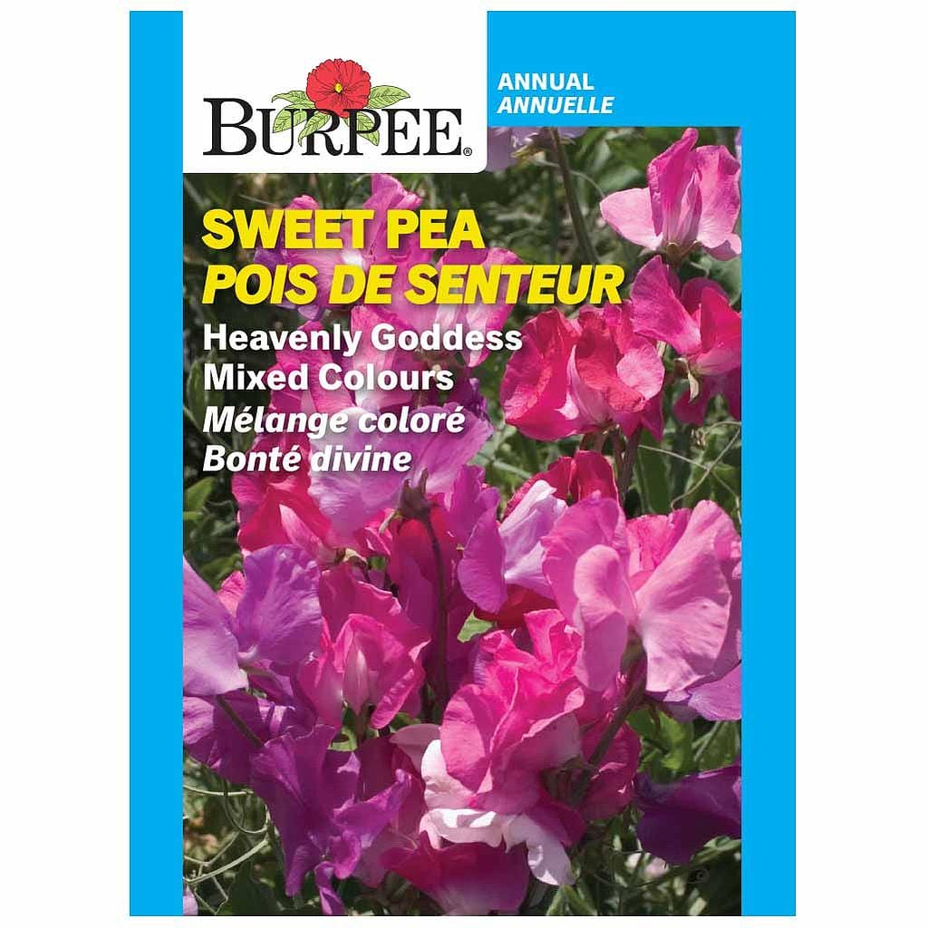 Sweet Pea Heavenly Goddess Mix - Burpee Seeds