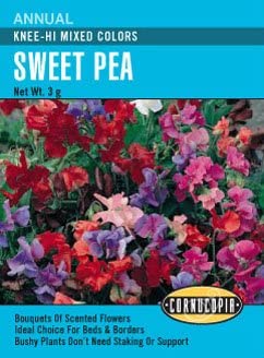 Sweet Pea Knee-Hi Mix - Cornucopia Seeds