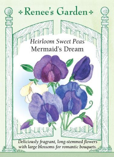 Sweet Pea Mermaid's Dream - Renee's Garden