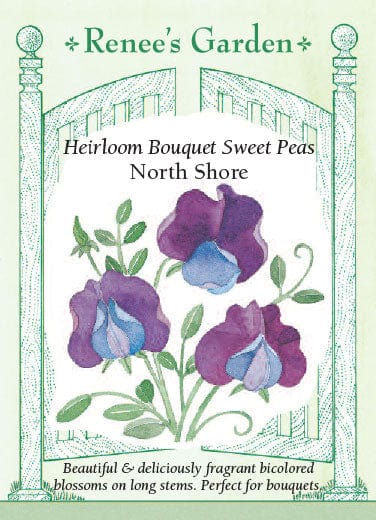 Sweet Pea North Shore - Renee's Garden Seeds