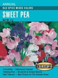 Sweet Pea Old Spice Mixed Colours - Cornucopia Seeds