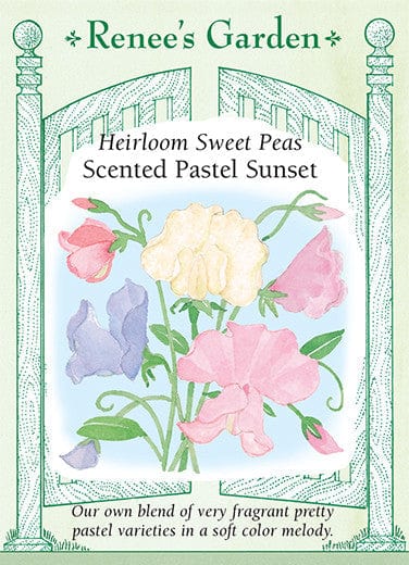 Sweet Pea Pastel Sunset - Renee's Garden Seeds