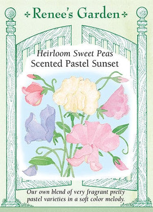 Sweet Pea Pastel Sunset - Renee's Garden Seeds