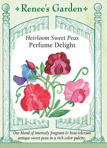 Sweet Pea Perfume Delight - Renee's Garden Seeds
