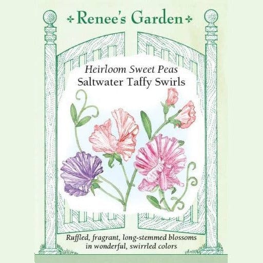 Sweet Pea Saltwater Taffy - Renee's Garden Seeds