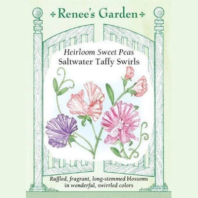 Sweet Pea Saltwater Taffy - Renee's Garden Seeds