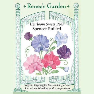 Sweet Pea Spencer Ruffled - Renee's Garden