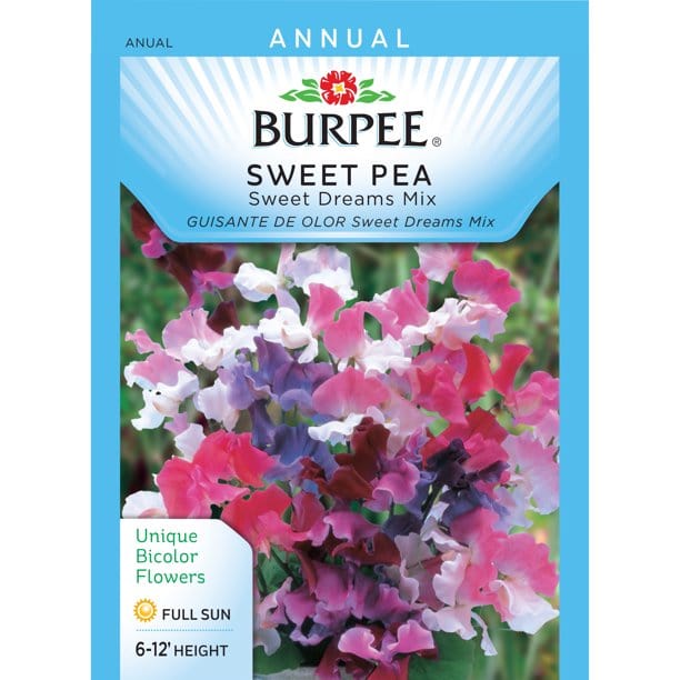 Sweet Pea Sweet Dreams - Burpee Seeds