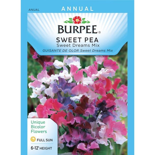 Sweet Pea Sweet Dreams - Burpee Seeds