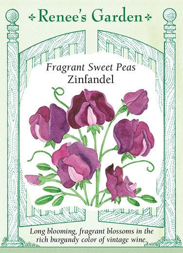 Sweet Pea Zinfandel - Renee's Garden Seeds